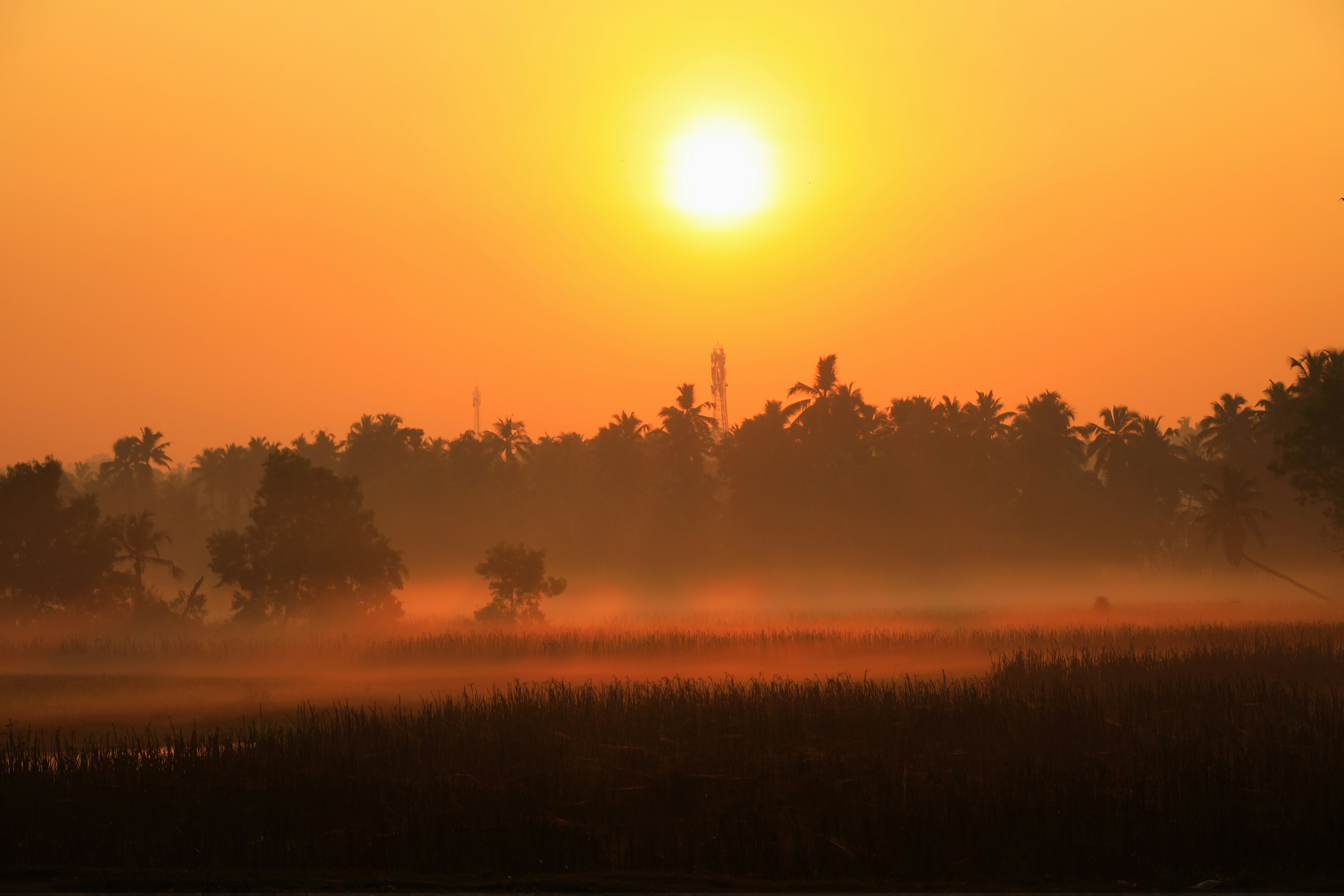 Kerala backwaters at golden hour